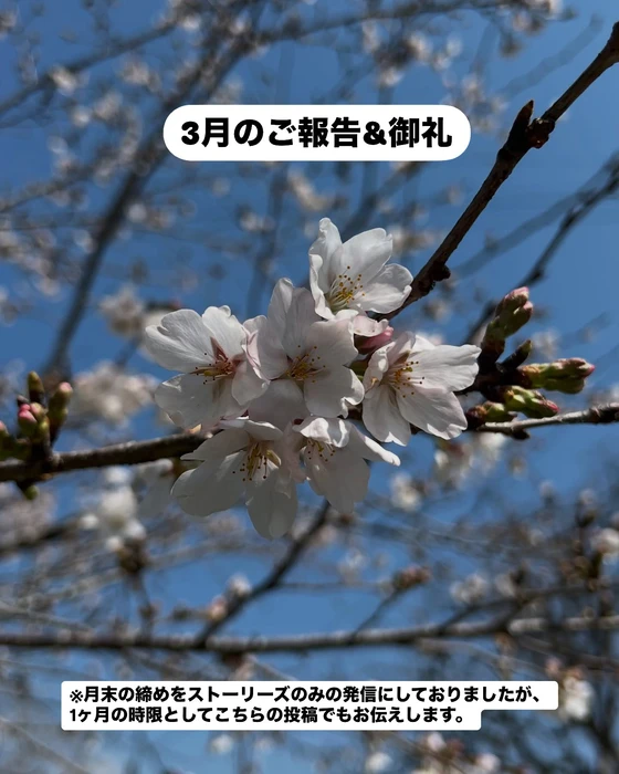 画像473