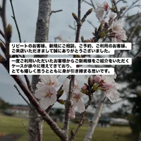画像474