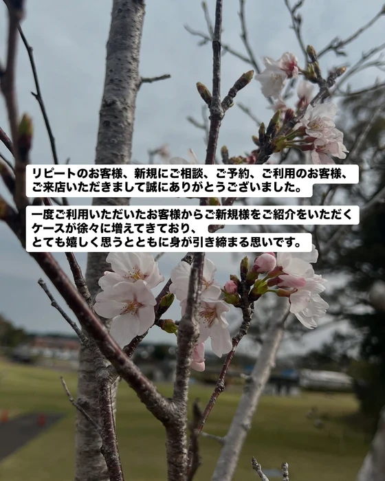 画像474