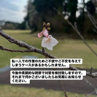 画像475