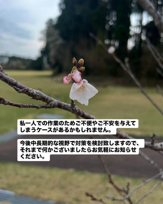 画像475