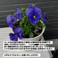 画像476