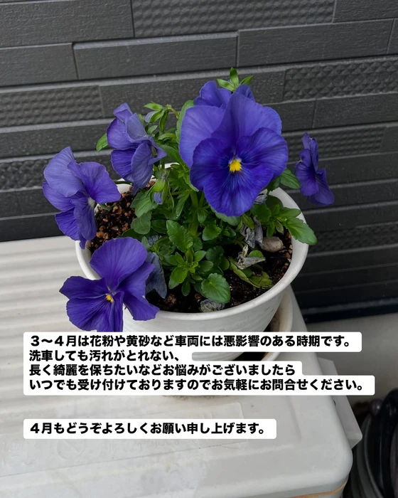 画像476