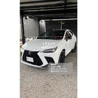 画像499