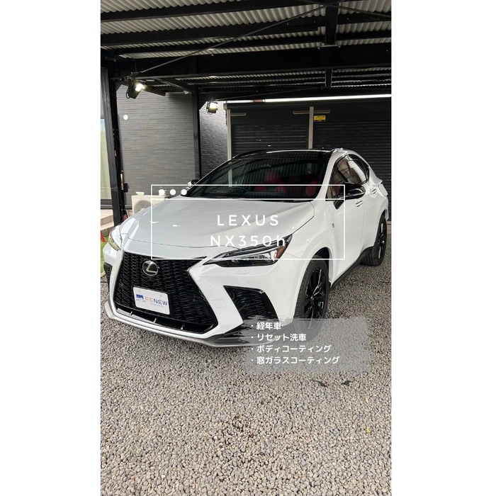 画像499